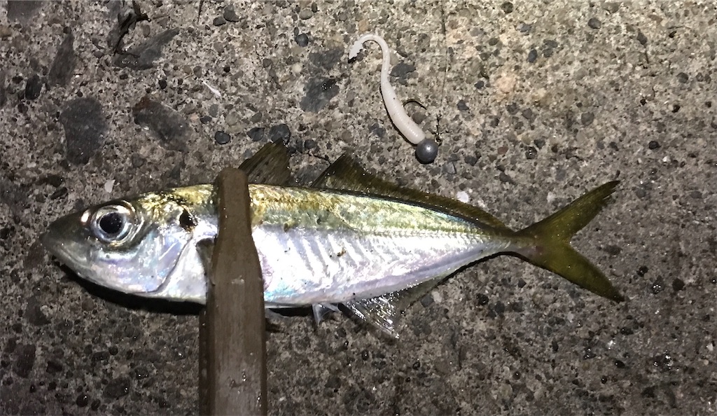 f:id:esojima3:20191206224440j:image