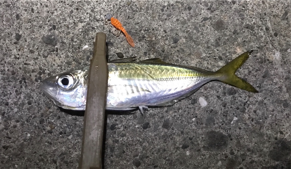 f:id:esojima3:20191206224450j:image