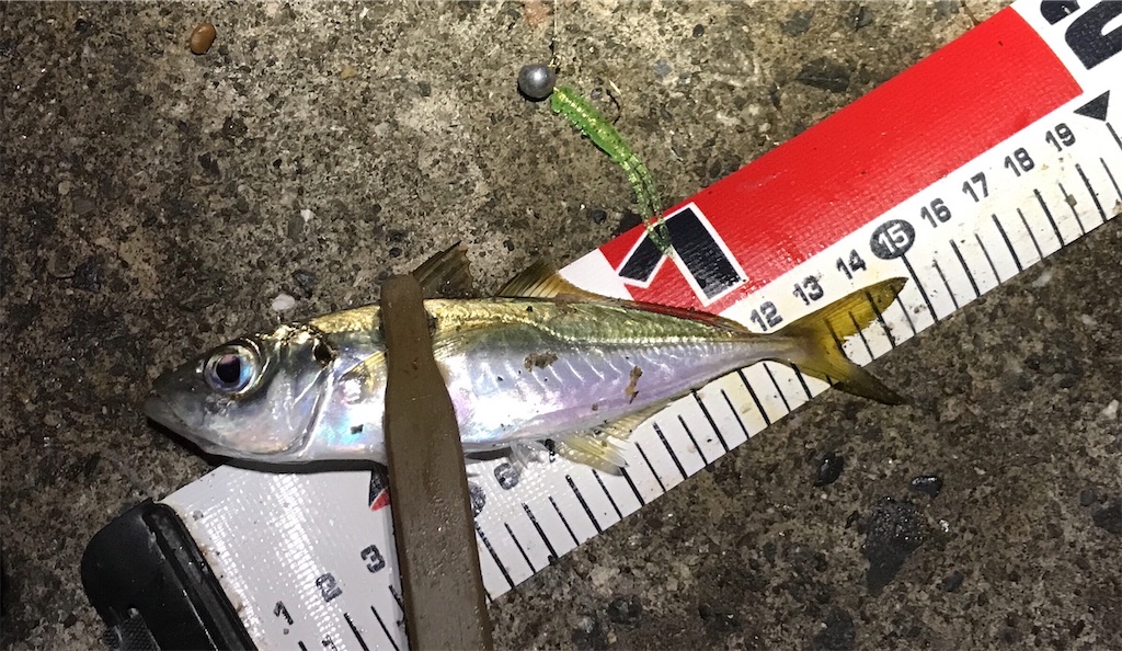 f:id:esojima3:20191206224454j:image