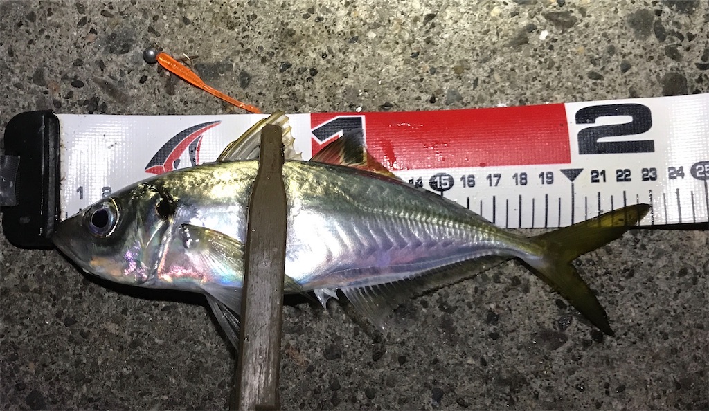 f:id:esojima3:20191206224457j:image