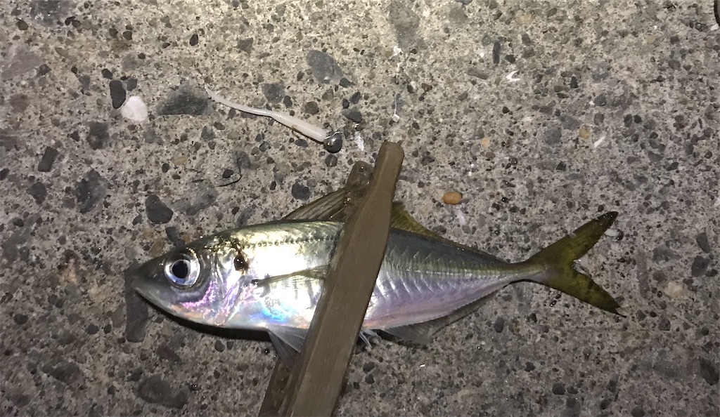 f:id:esojima3:20191206224516j:image