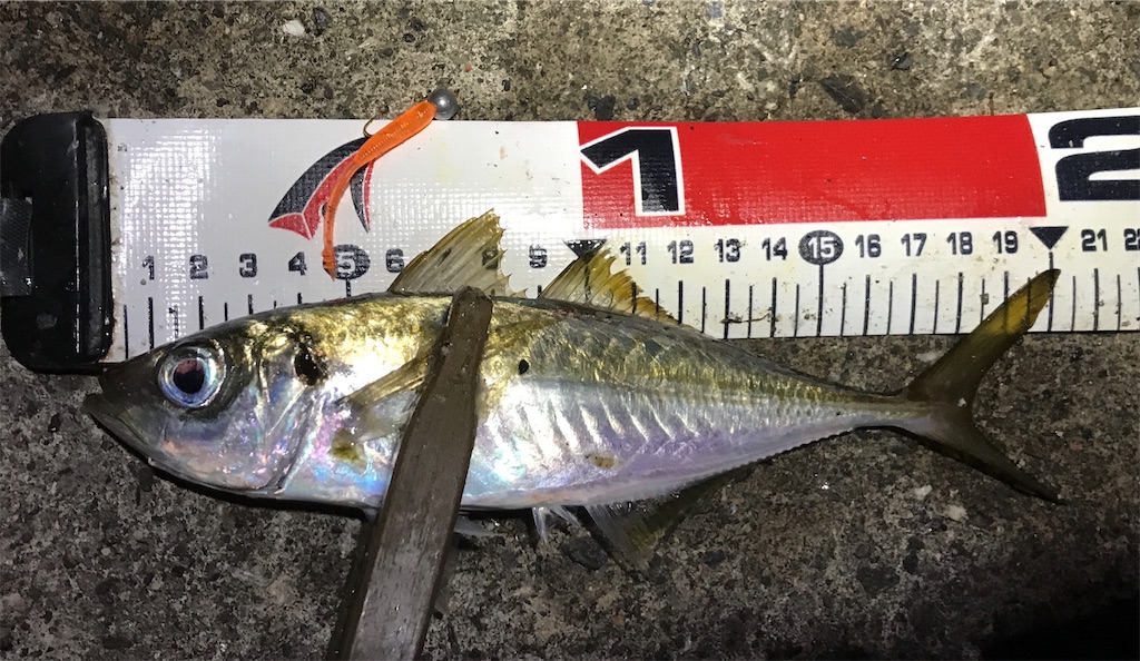 f:id:esojima3:20191206224518j:image