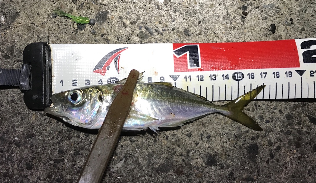 f:id:esojima3:20191206224523j:image