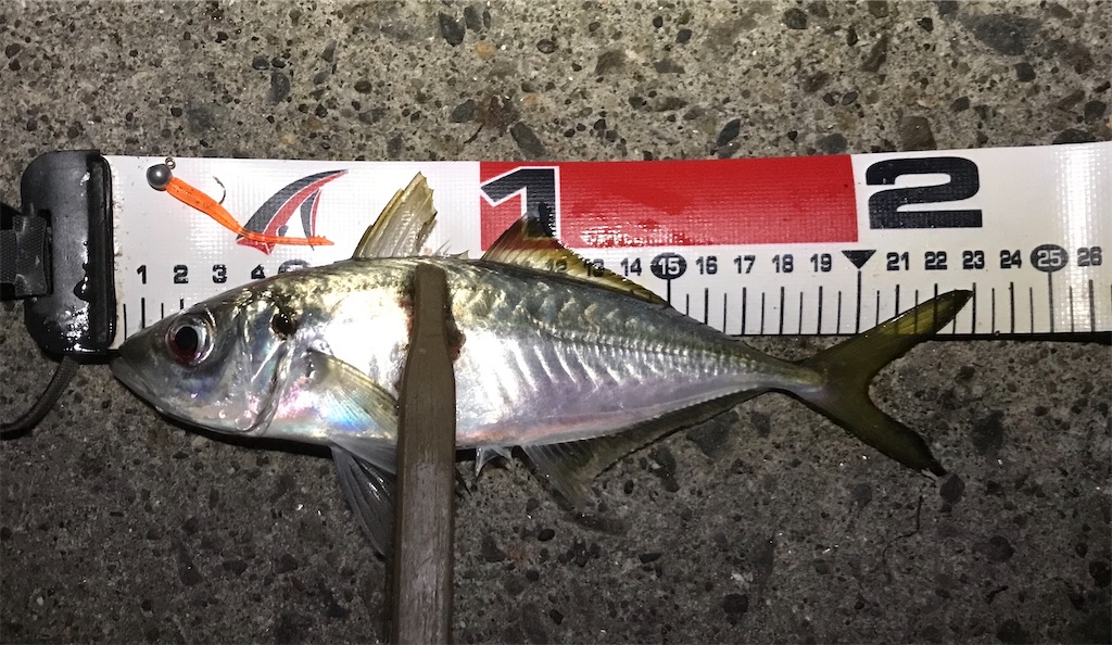f:id:esojima3:20191206224526j:image
