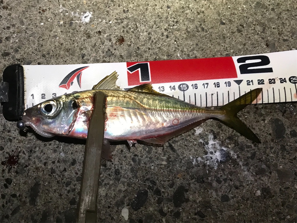 f:id:esojima3:20191206224532j:image