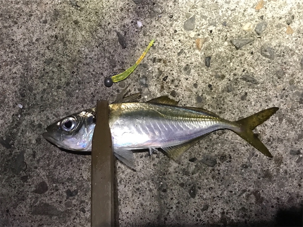 f:id:esojima3:20191208120345j:image