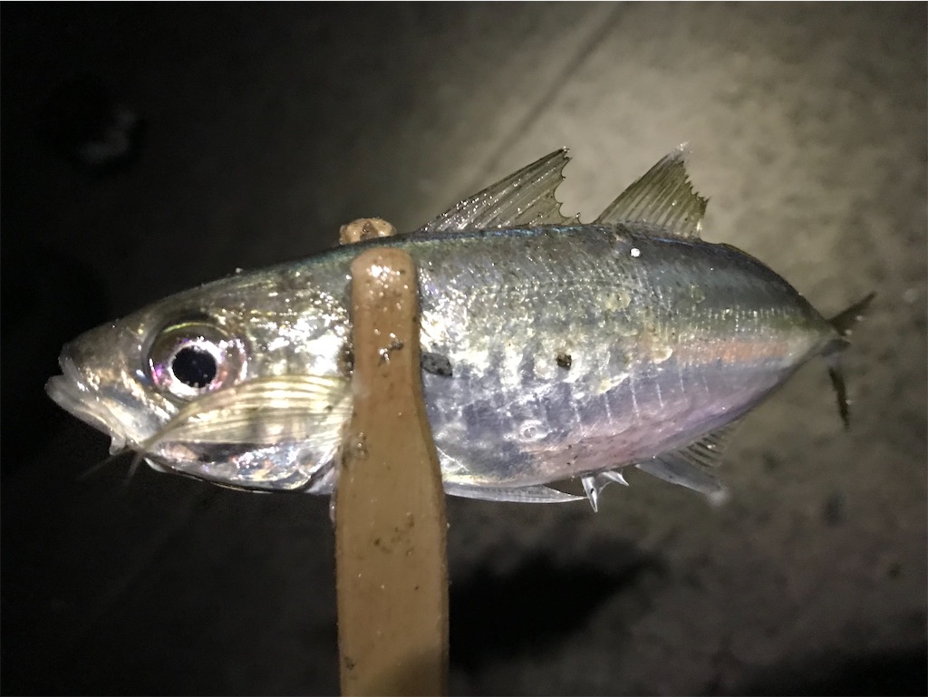 f:id:esojima3:20191208120424j:image