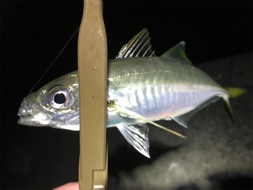 f:id:esojima3:20191208120428j:image