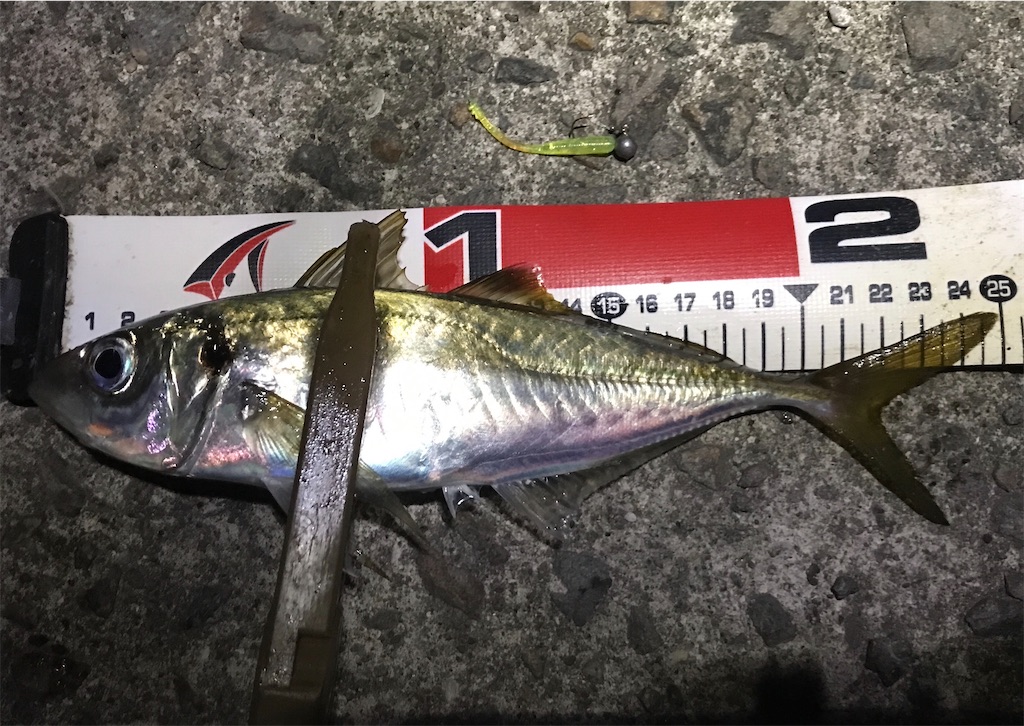 f:id:esojima3:20191208120450j:image