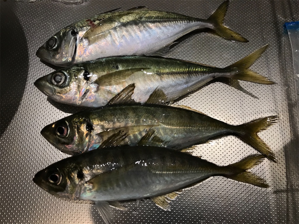 f:id:esojima3:20191208121316j:image