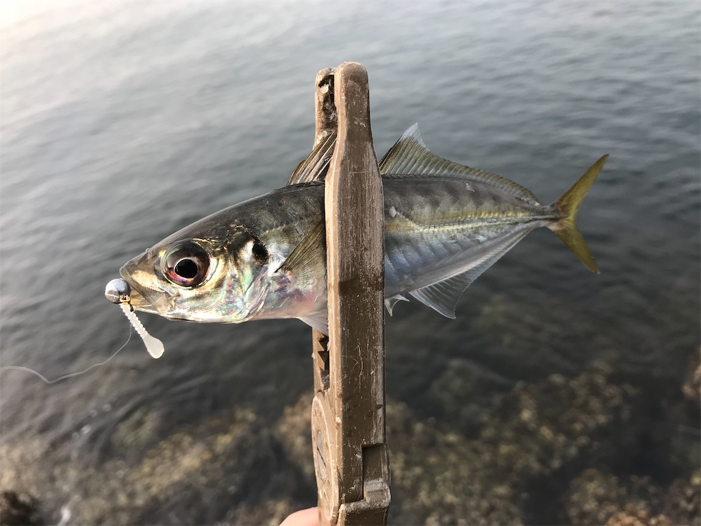 f:id:esojima3:20191210222127j:image