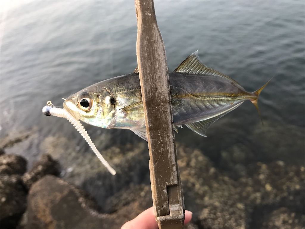 f:id:esojima3:20191210222143j:image