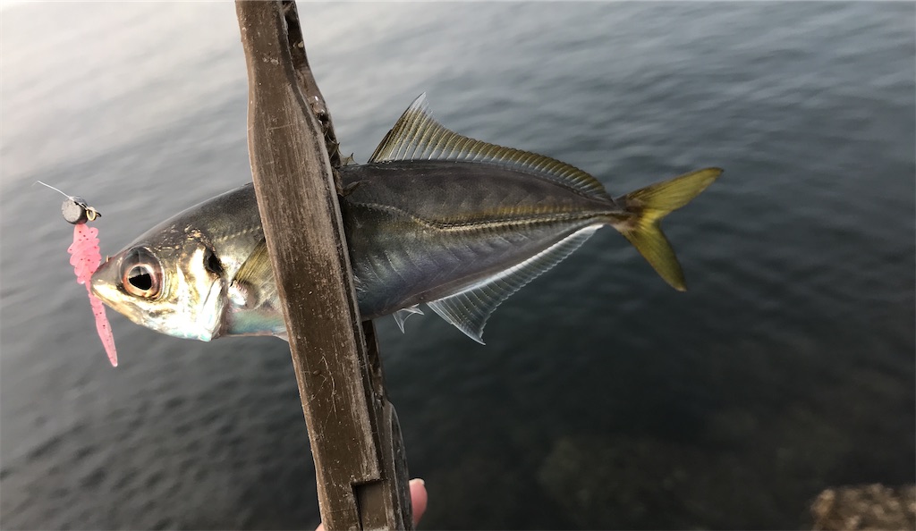 f:id:esojima3:20191210222146j:image