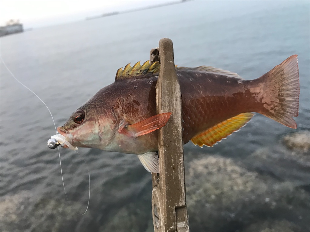 f:id:esojima3:20191210222614j:image