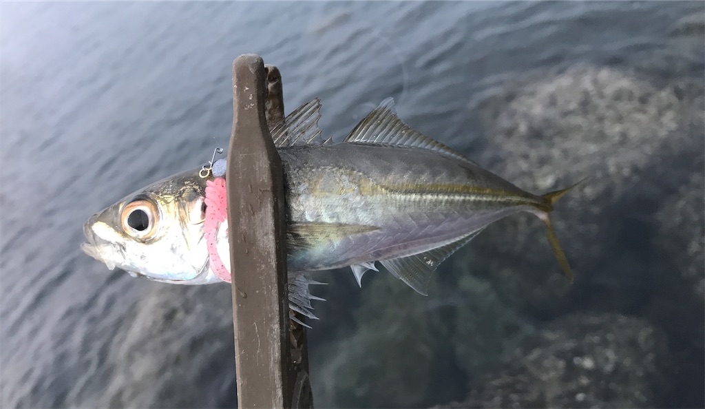 f:id:esojima3:20191210222759j:image