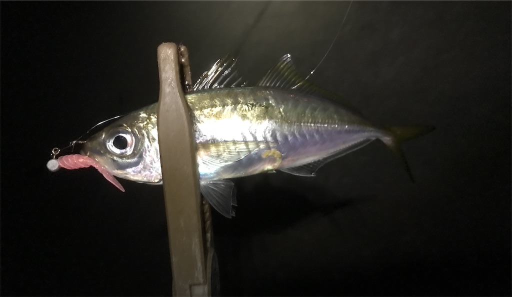 f:id:esojima3:20191210223017j:image