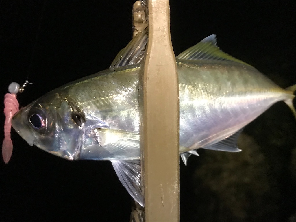 f:id:esojima3:20191211233323j:image