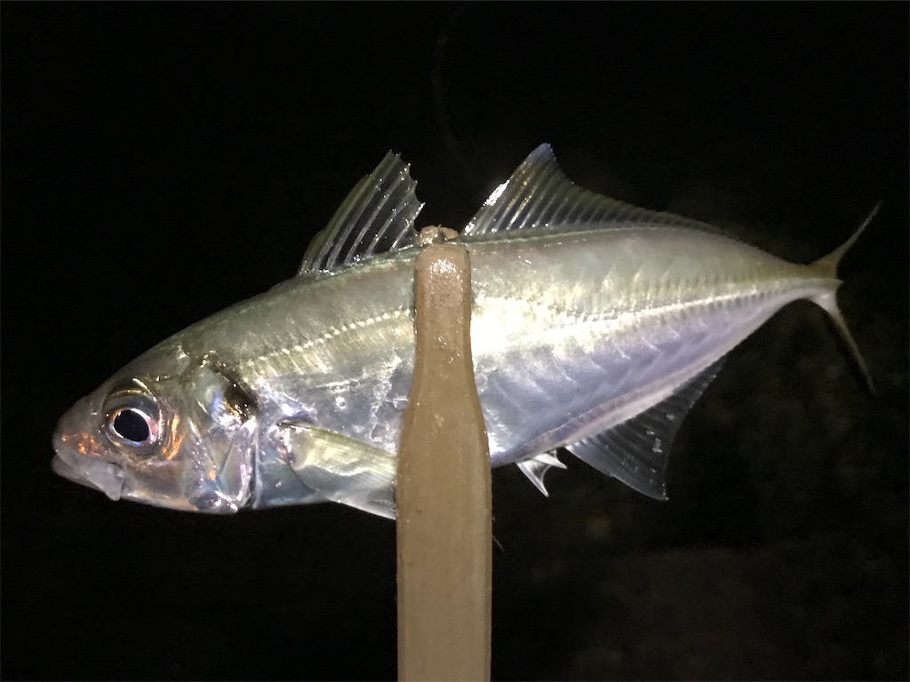 f:id:esojima3:20191211234147j:image