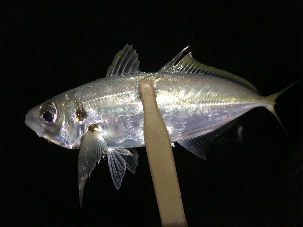 f:id:esojima3:20191211234151j:image