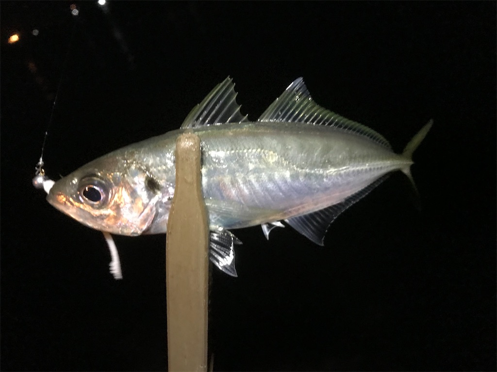 f:id:esojima3:20191211234155j:image