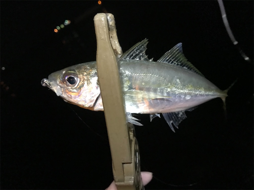 f:id:esojima3:20191211234200j:image