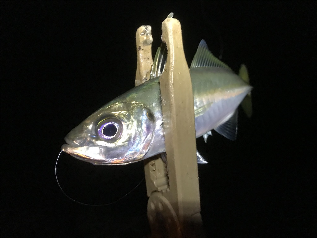 f:id:esojima3:20191211234204j:image