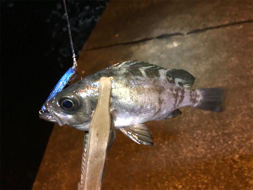 f:id:esojima3:20191212215441j:image