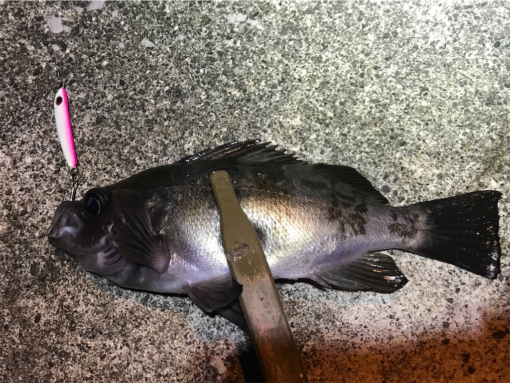 f:id:esojima3:20191212215605j:image