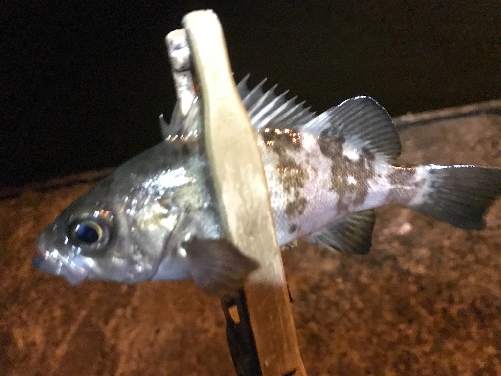 f:id:esojima3:20191212220318j:image