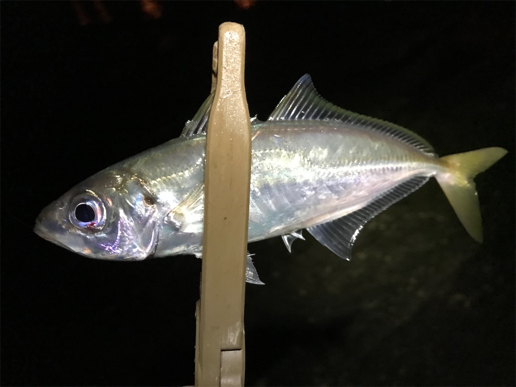 f:id:esojima3:20191216120954j:image