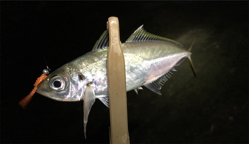 f:id:esojima3:20191216124304j:image