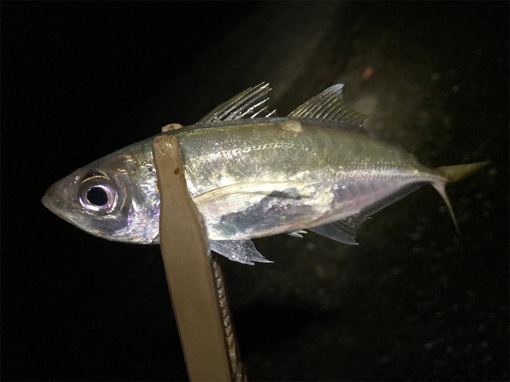 f:id:esojima3:20191216124401j:image