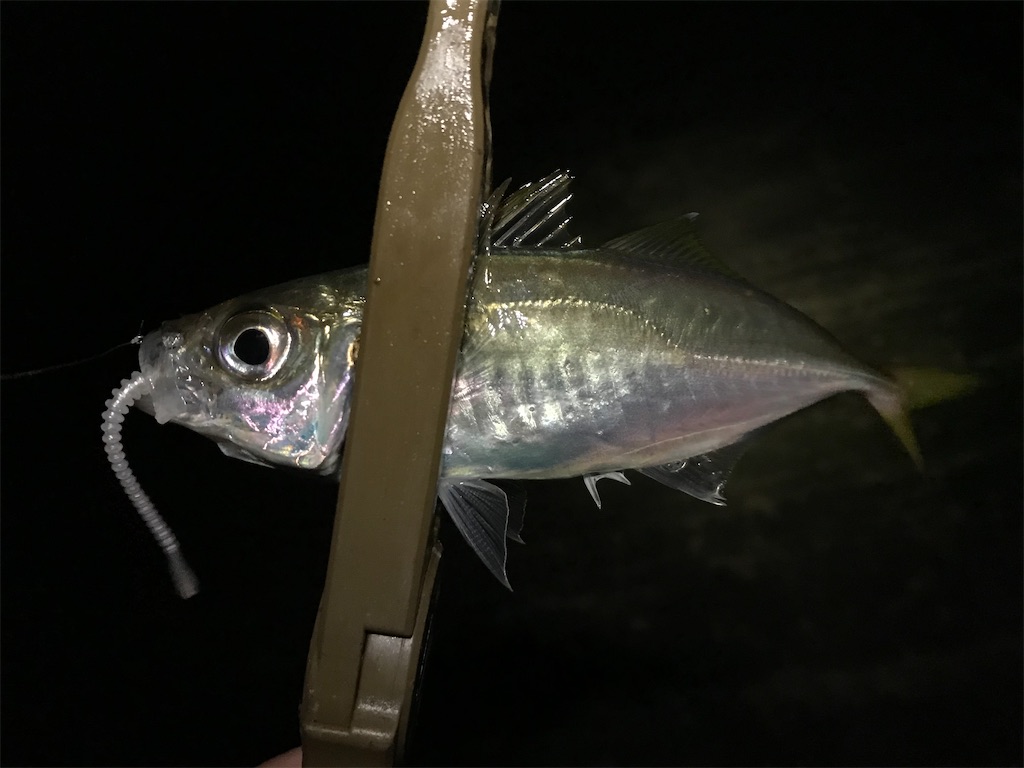 f:id:esojima3:20191216214100j:image
