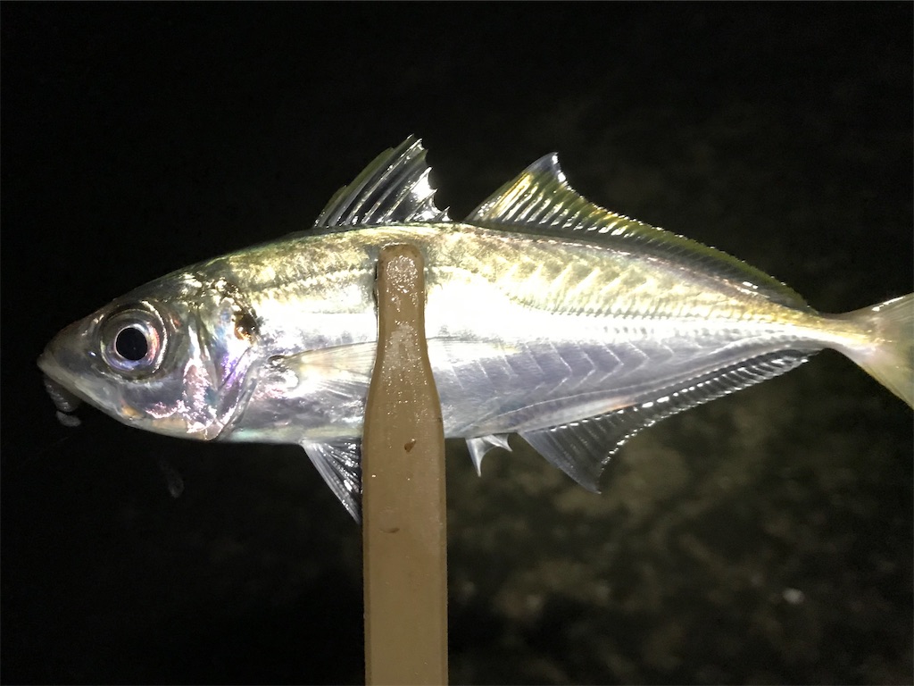 f:id:esojima3:20191216214103j:image