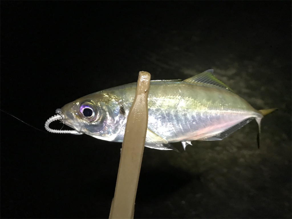 f:id:esojima3:20191216214106j:image