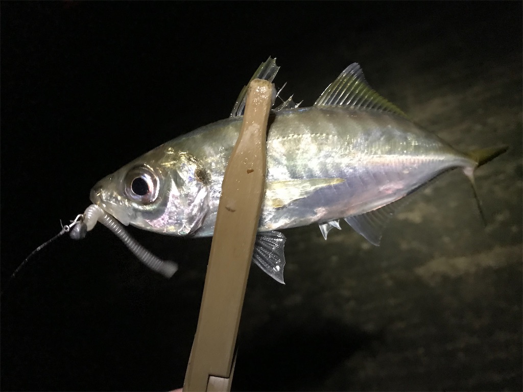 f:id:esojima3:20191216214110j:image