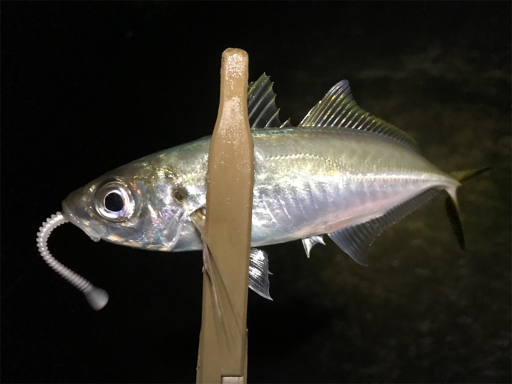 f:id:esojima3:20191216214113j:image