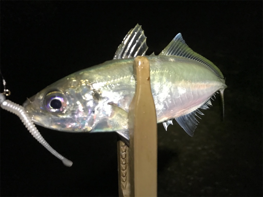 f:id:esojima3:20191216214121j:image