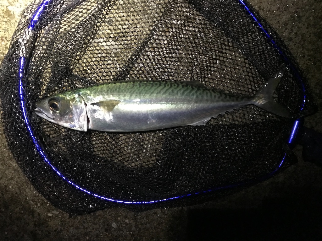 f:id:esojima3:20191216231716j:image f:id:esojima3:20191216231716j:image