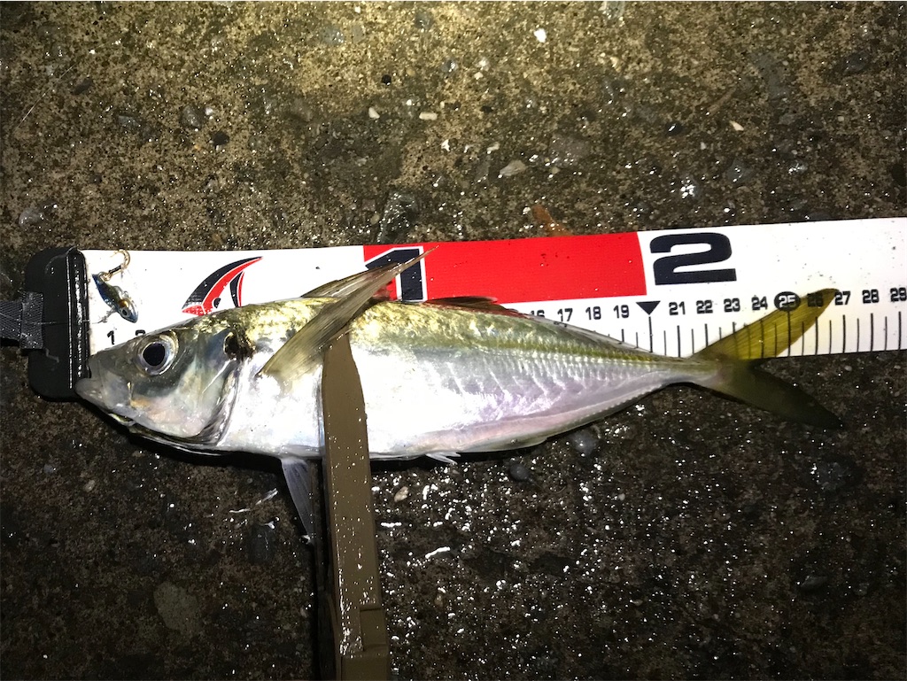 f:id:esojima3:20191216231946j:image f:id:esojima3:20191216231946j:image