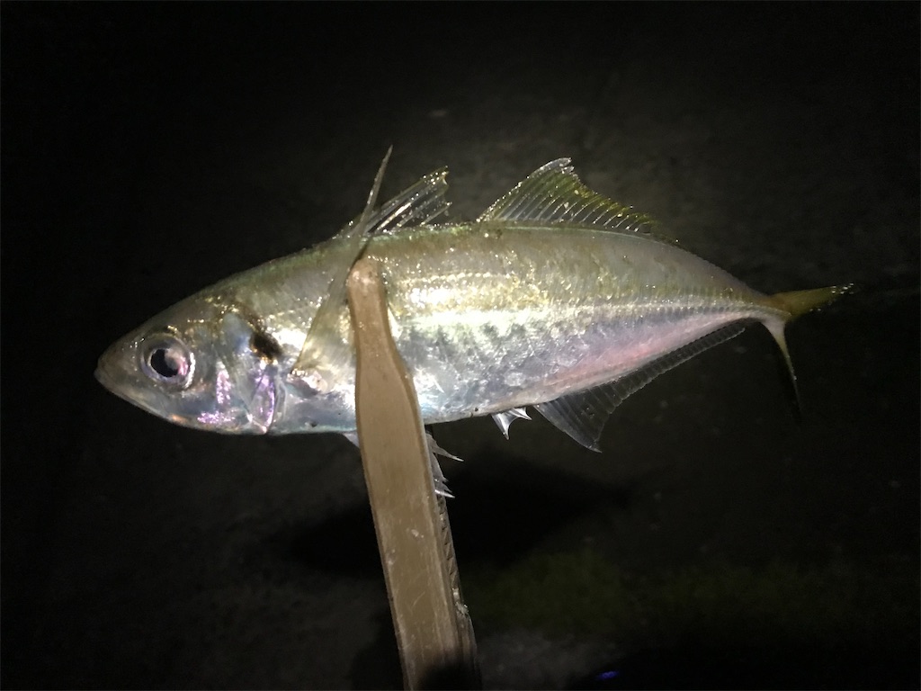 f:id:esojima3:20191220224309j:image