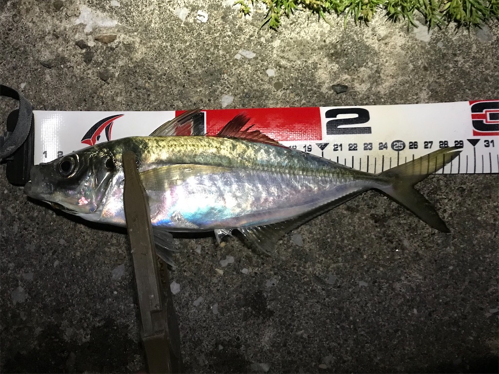 f:id:esojima3:20191220224538j:image