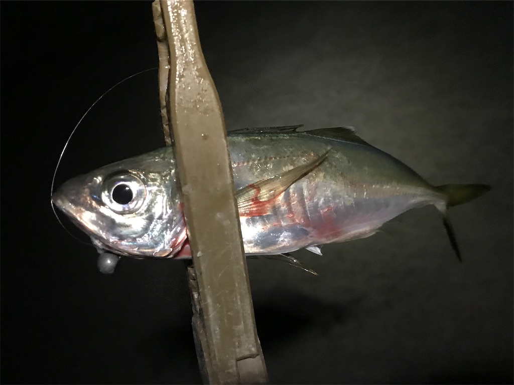 f:id:esojima3:20191220224735j:image