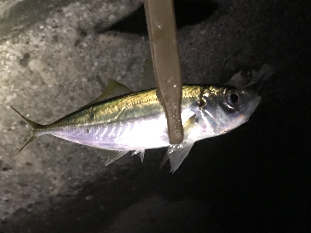 f:id:esojima3:20191220224738j:image