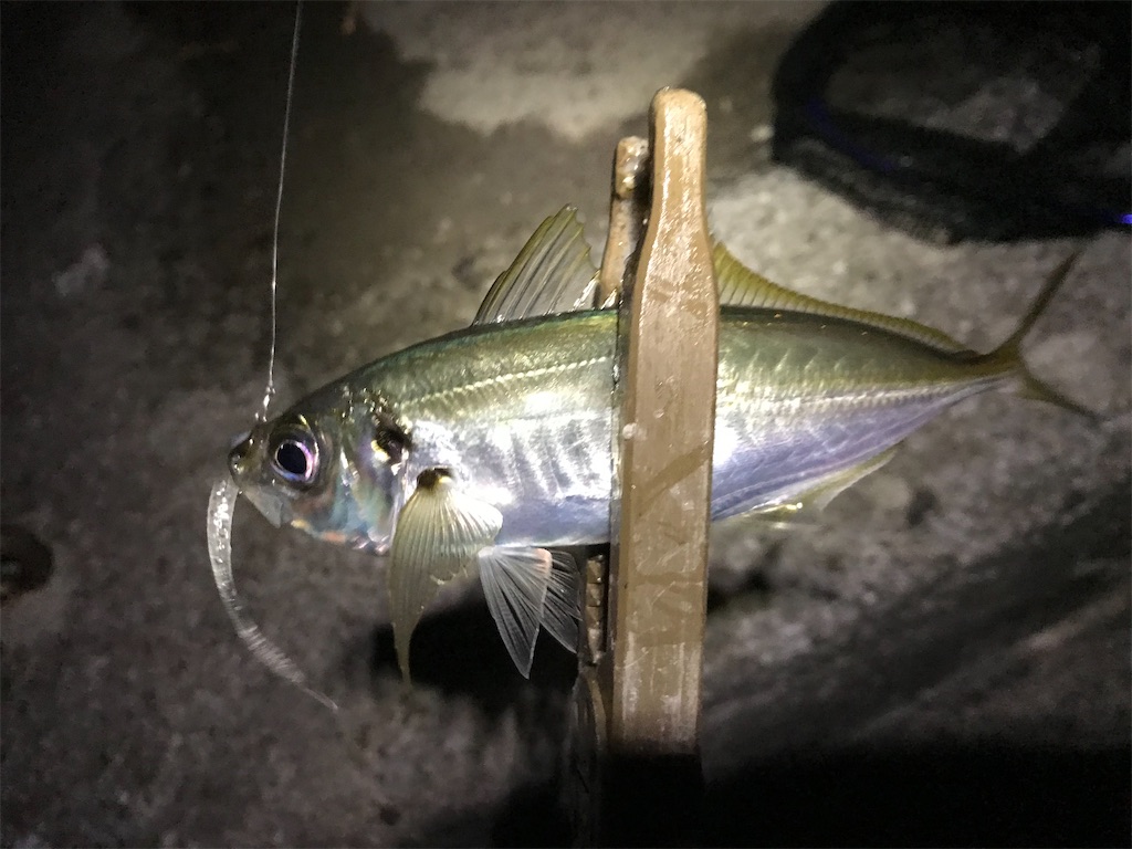 f:id:esojima3:20191220224741j:image