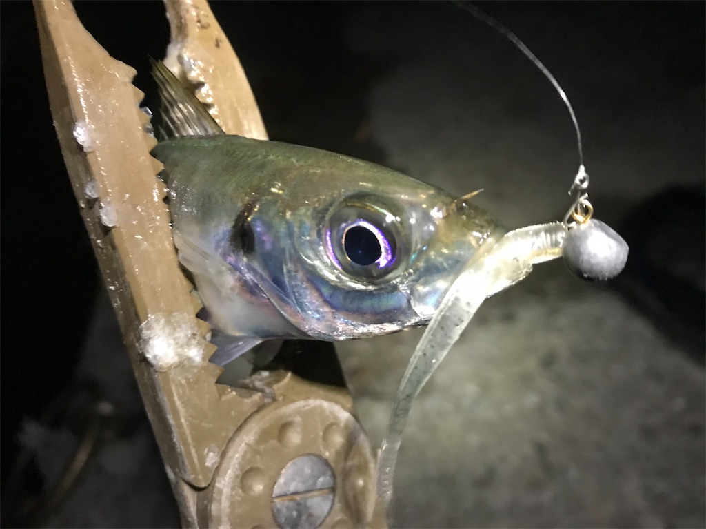 f:id:esojima3:20191220224748j:image