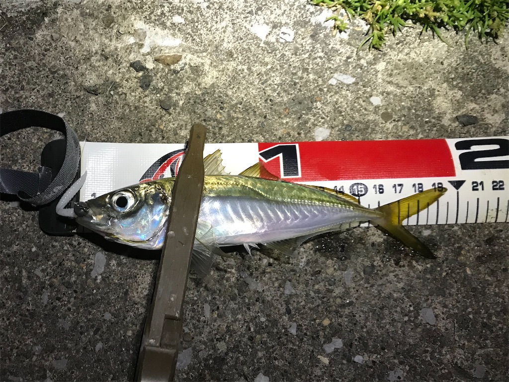 f:id:esojima3:20191220224751j:image