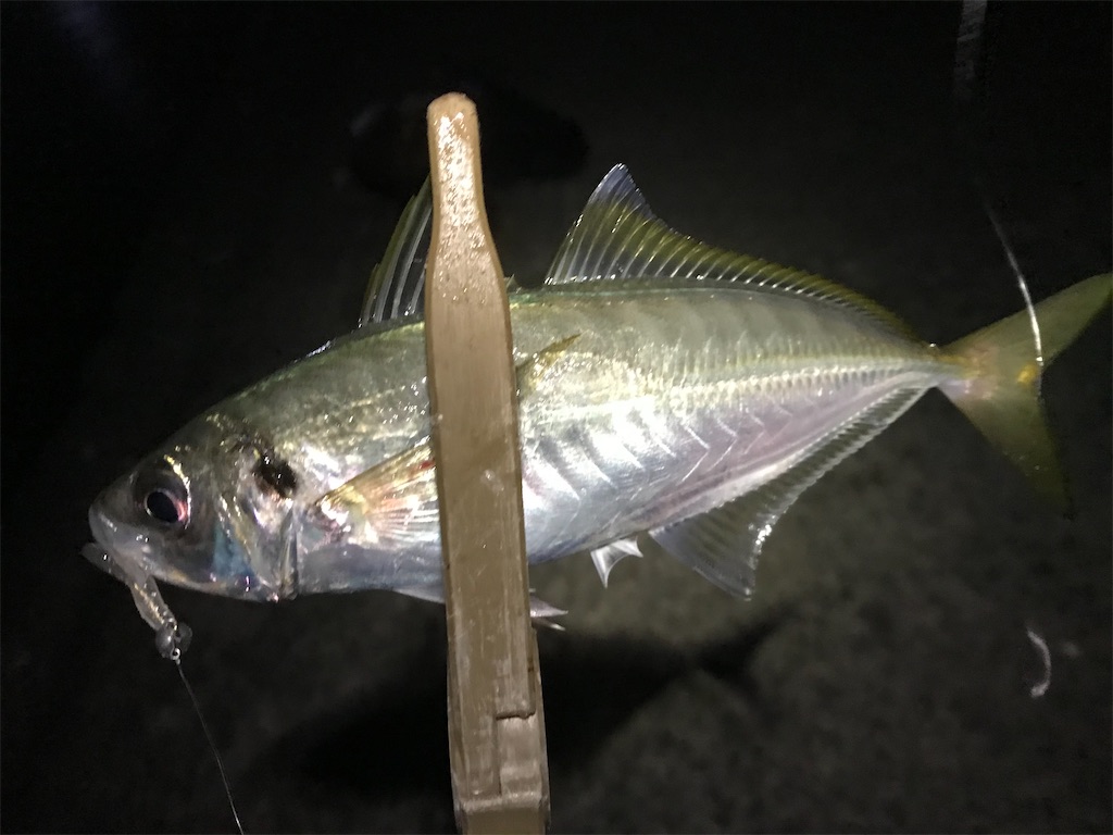 f:id:esojima3:20191220225436j:image