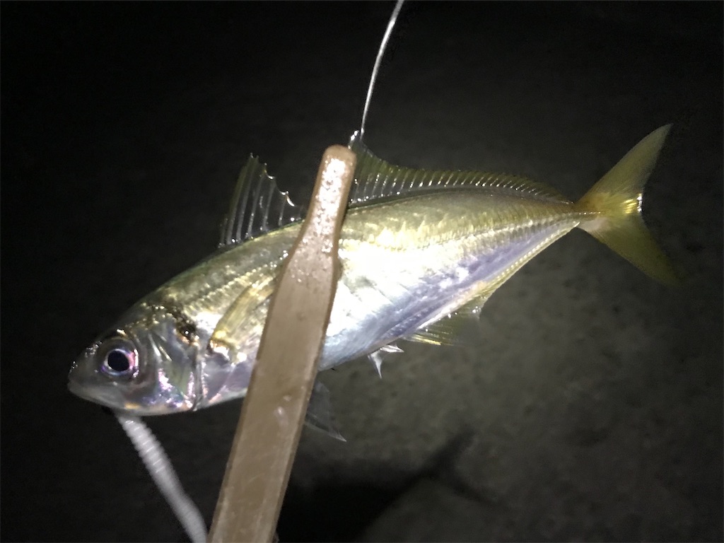 f:id:esojima3:20191220225439j:image