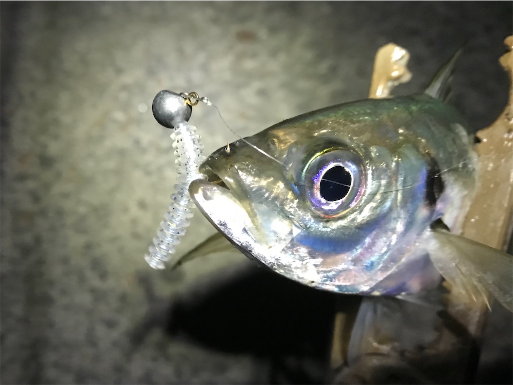 f:id:esojima3:20191220225442j:image